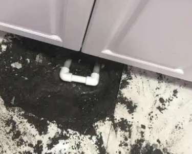 珠山查漏水哪家好